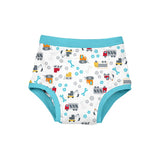 Baby Boy Reusable Absorbent Training Underwear