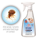 Bed Bugs No More
