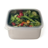 Square To-Go Container w/ silicone lid