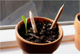 Sprout Pencil